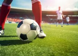 盖尔,加朵迎来新,成员,神殿娱乐官网,神殿娱乐平台,神殿娱乐体育,神殿娱乐A超凡国际