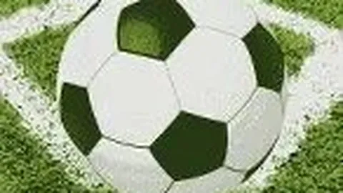 张伟丽对手面部重伤需整形，手术计划定于下周进行